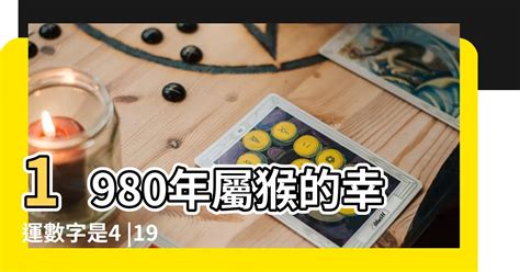 1980屬猴幸運數字|1980年屬猴最旺的數字 80年屬猴人命理分析